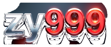 zy999 logo